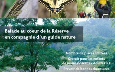 Balade guidée dans la réserve naturelle d’Ampsin